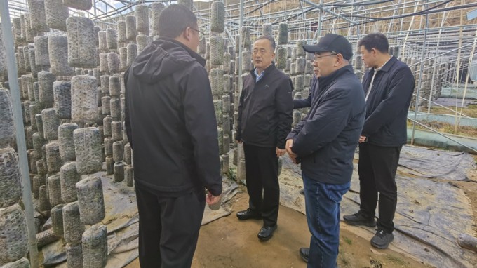 甘肅工程咨詢集團赴卓尼縣開展鄉村振興幫扶調研暨結對關愛工作